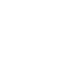 Hartlepool Borough Council