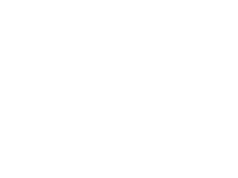 Surrey County Council